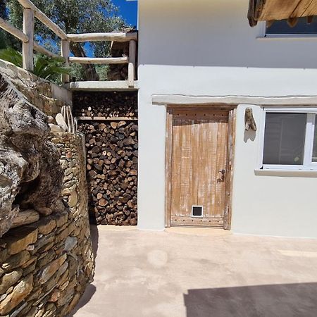 Villa Christine'S House Skopelos Exterior foto